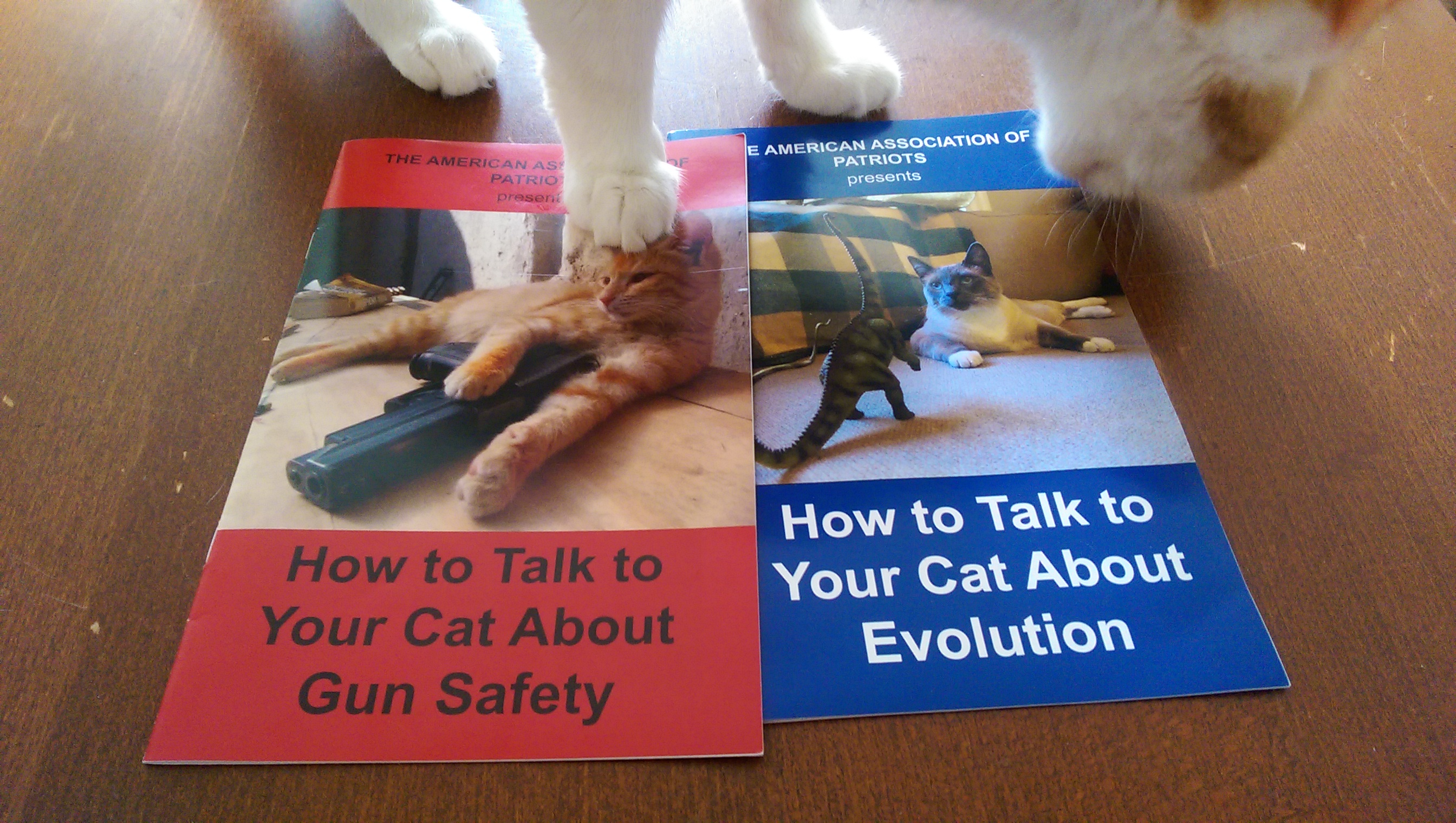 How to Talk to Your Cats About Gun Safety and Evolution