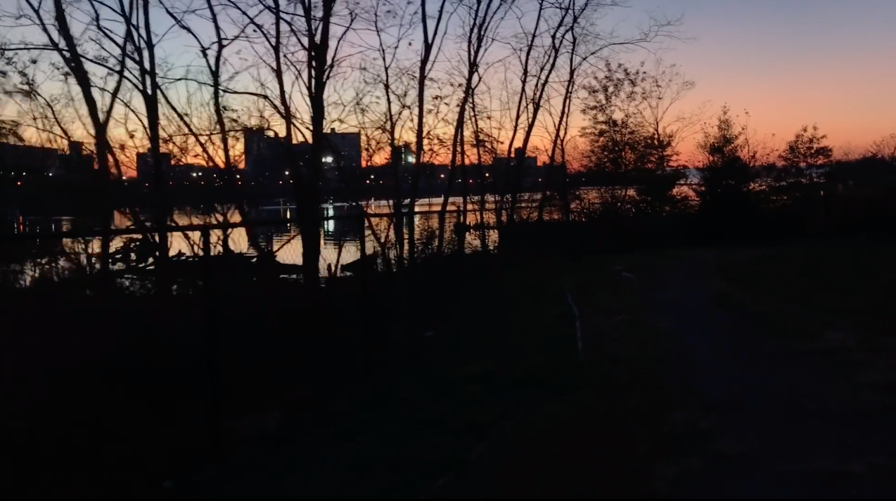 Come Walk With Me: Coney Island Creek