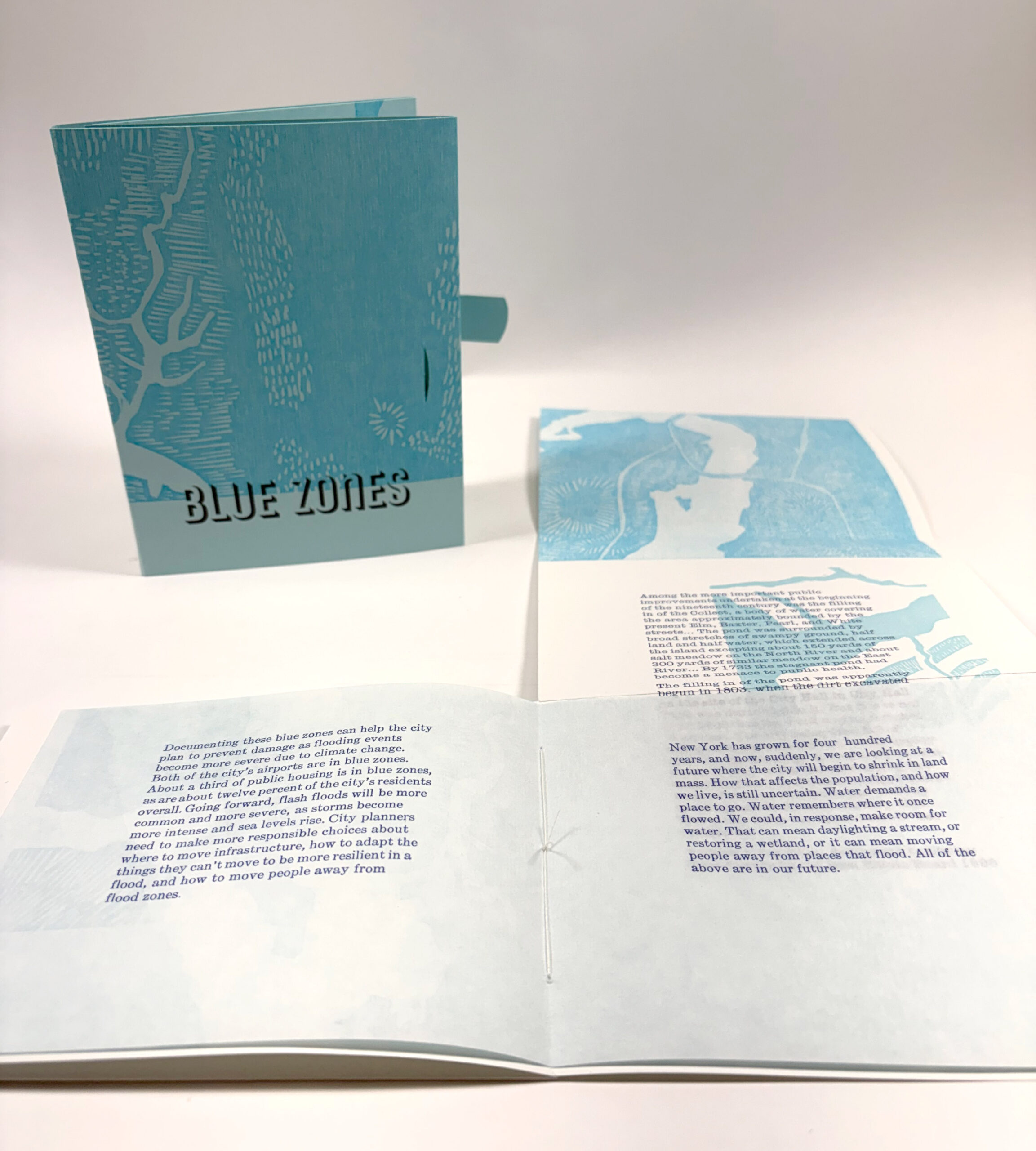Blue Zones