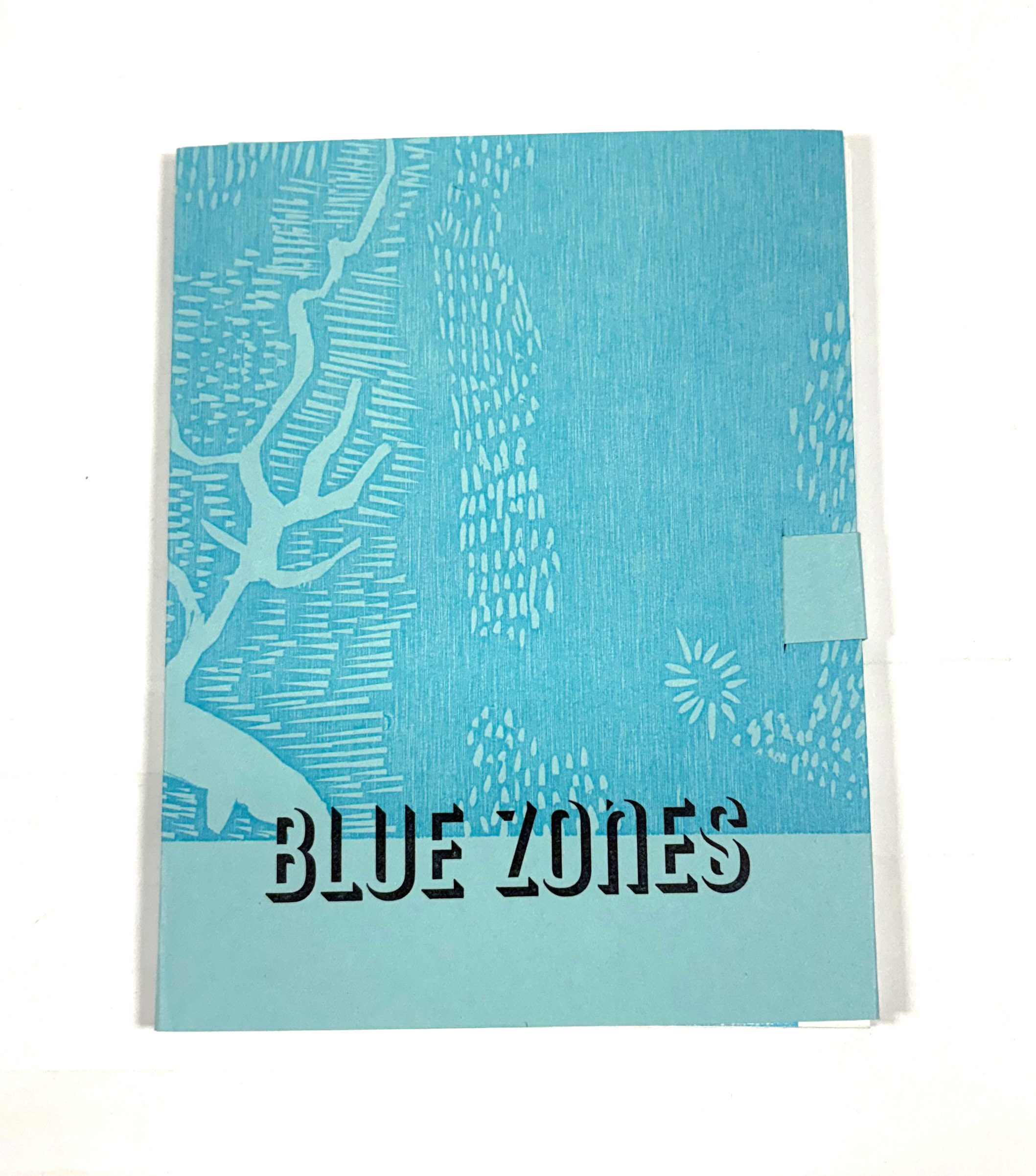 Blue Zones