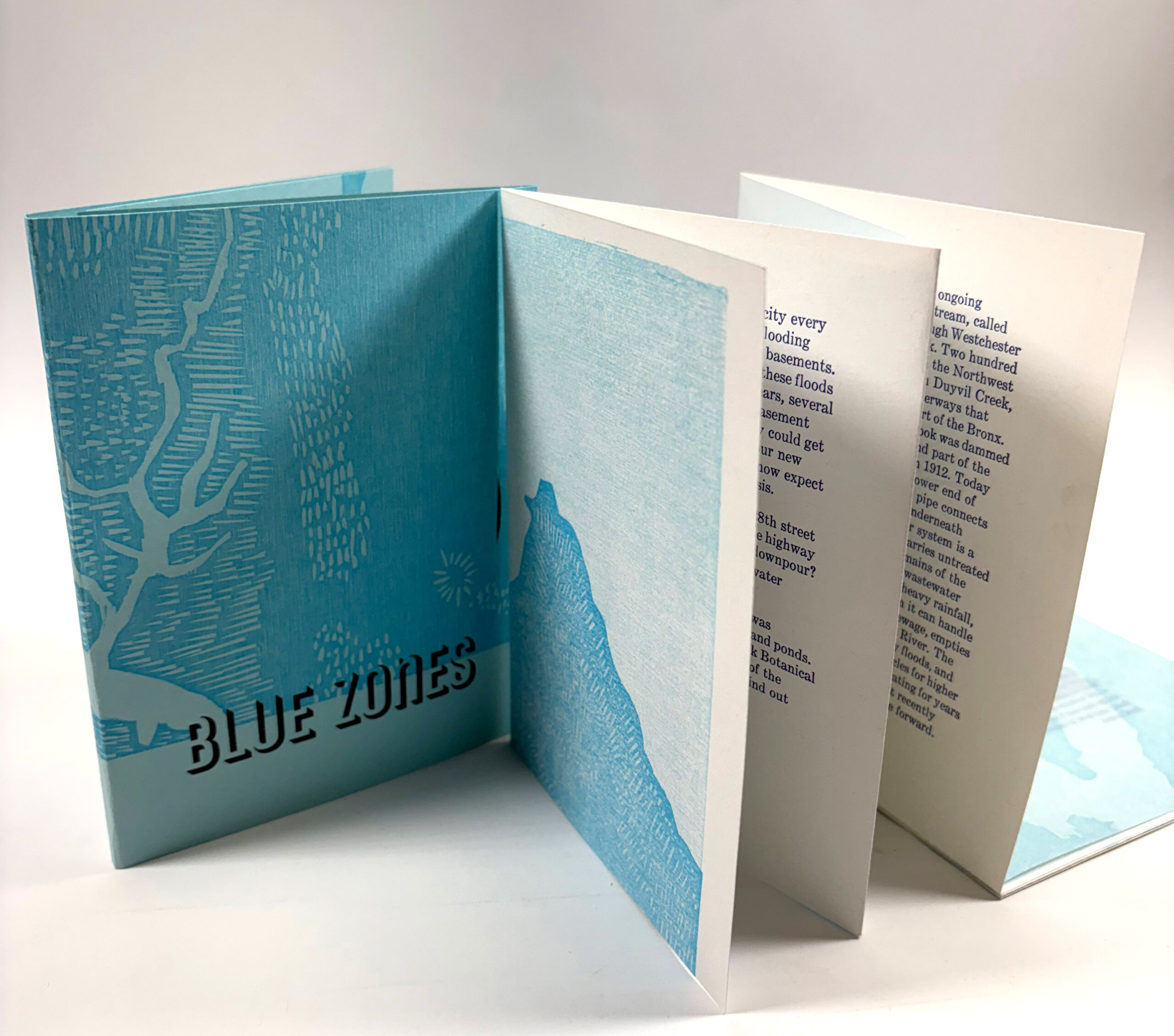 Blue Zones